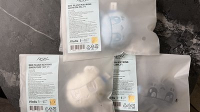 Seventeen城市蹦蹦 新加坡 仁川 塔科馬