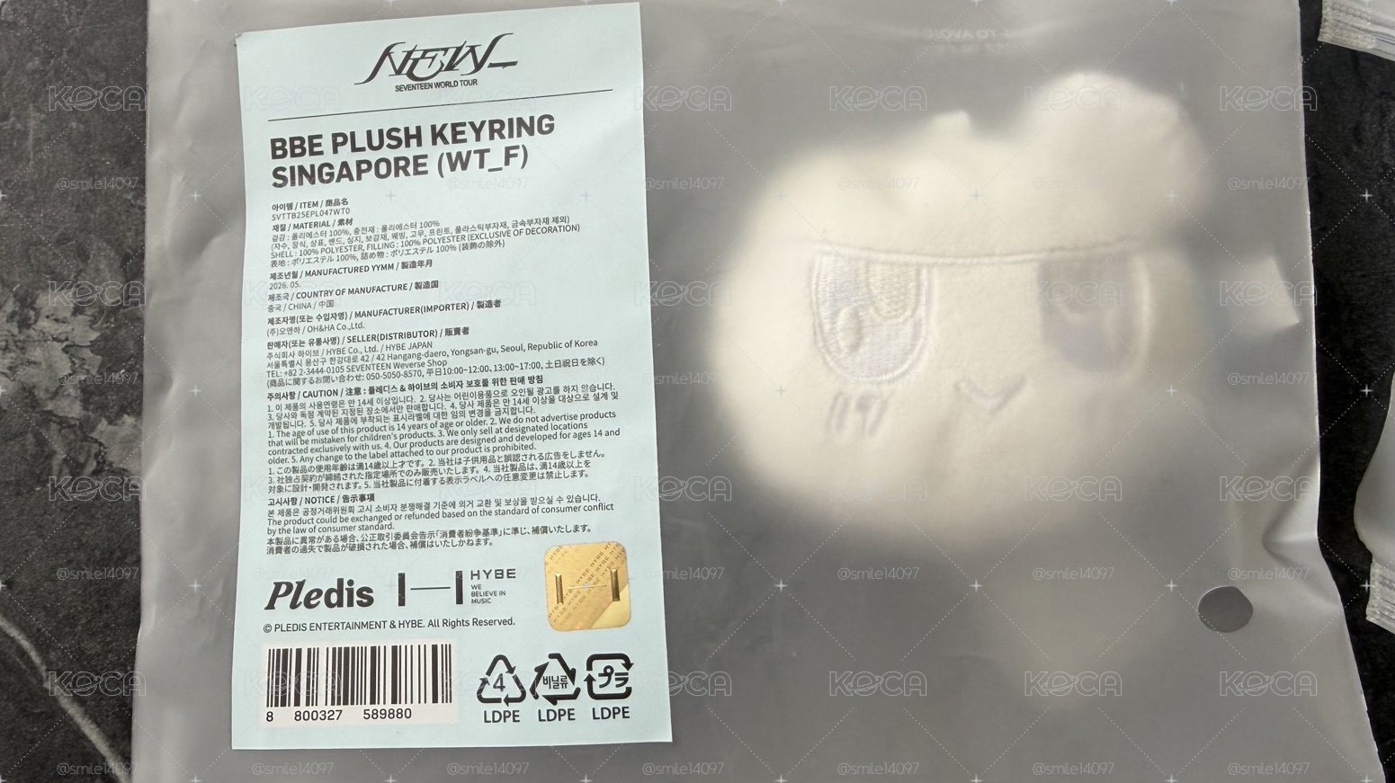 Seventeen城市蹦蹦 新加坡 仁川 塔科馬