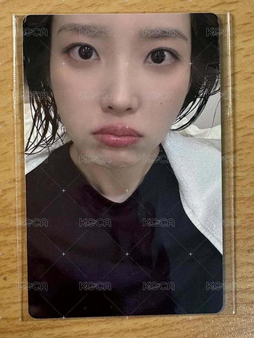 24’ 安可演唱會 周邊卡 鐵盒卡5