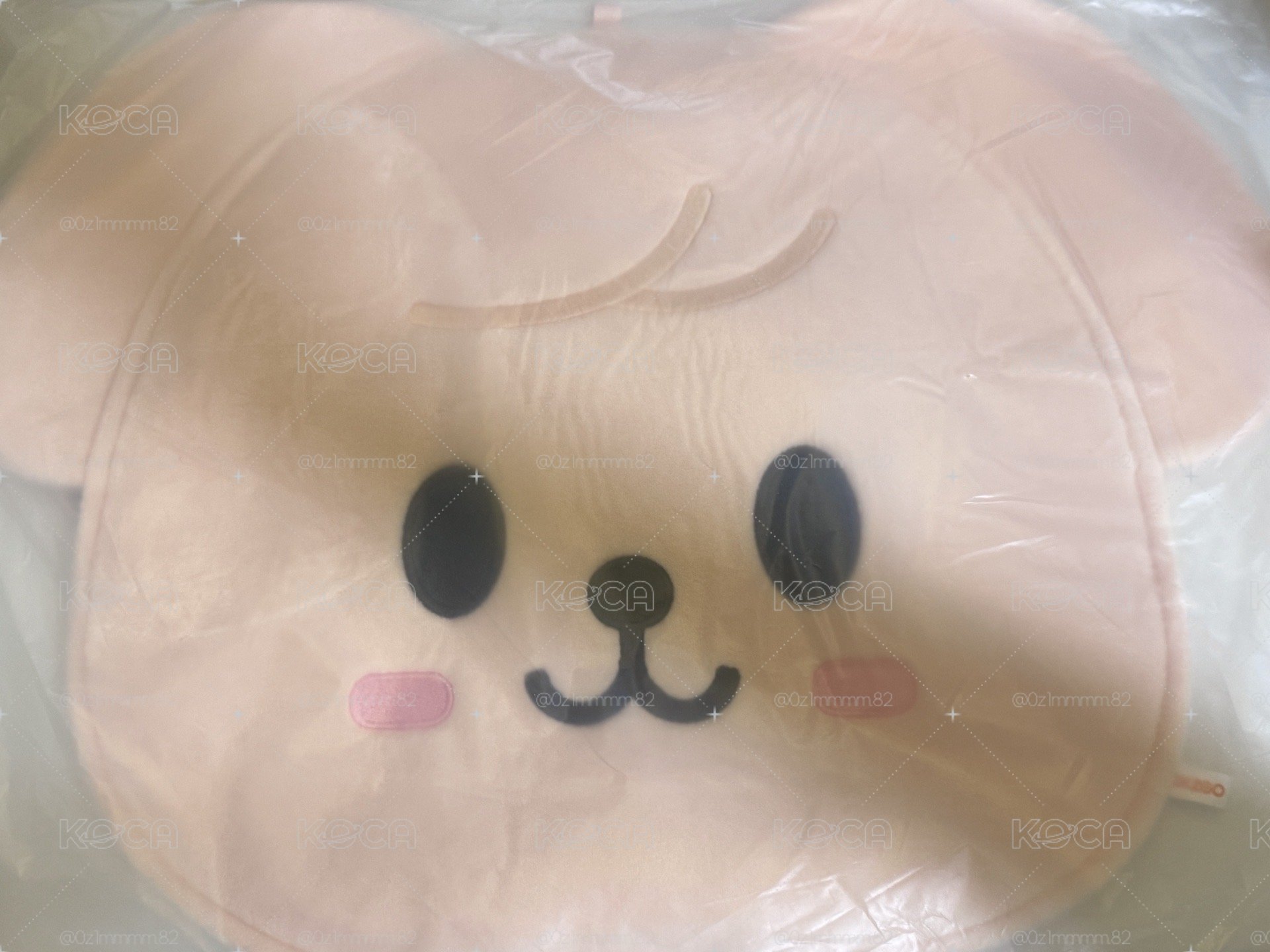 玟扇套 全新未拆