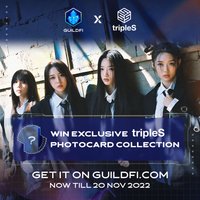 Atom01 GuildFi LD 303Z