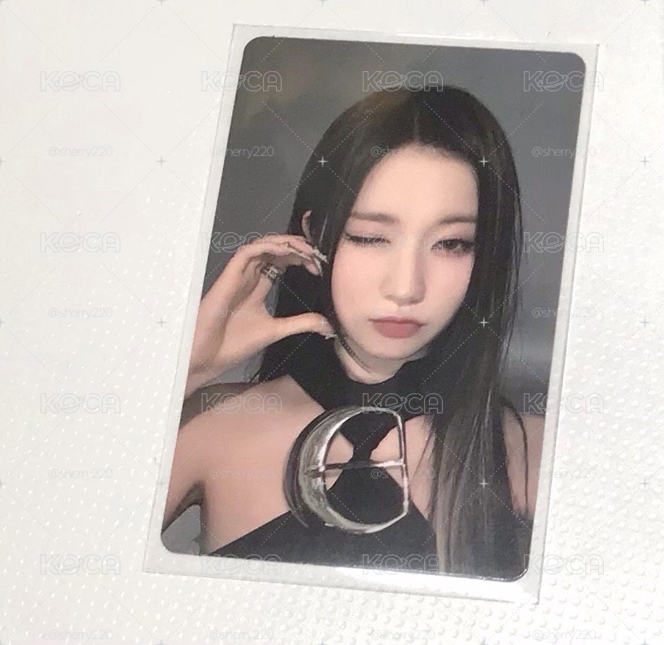 寶怪 專輯卡 紗