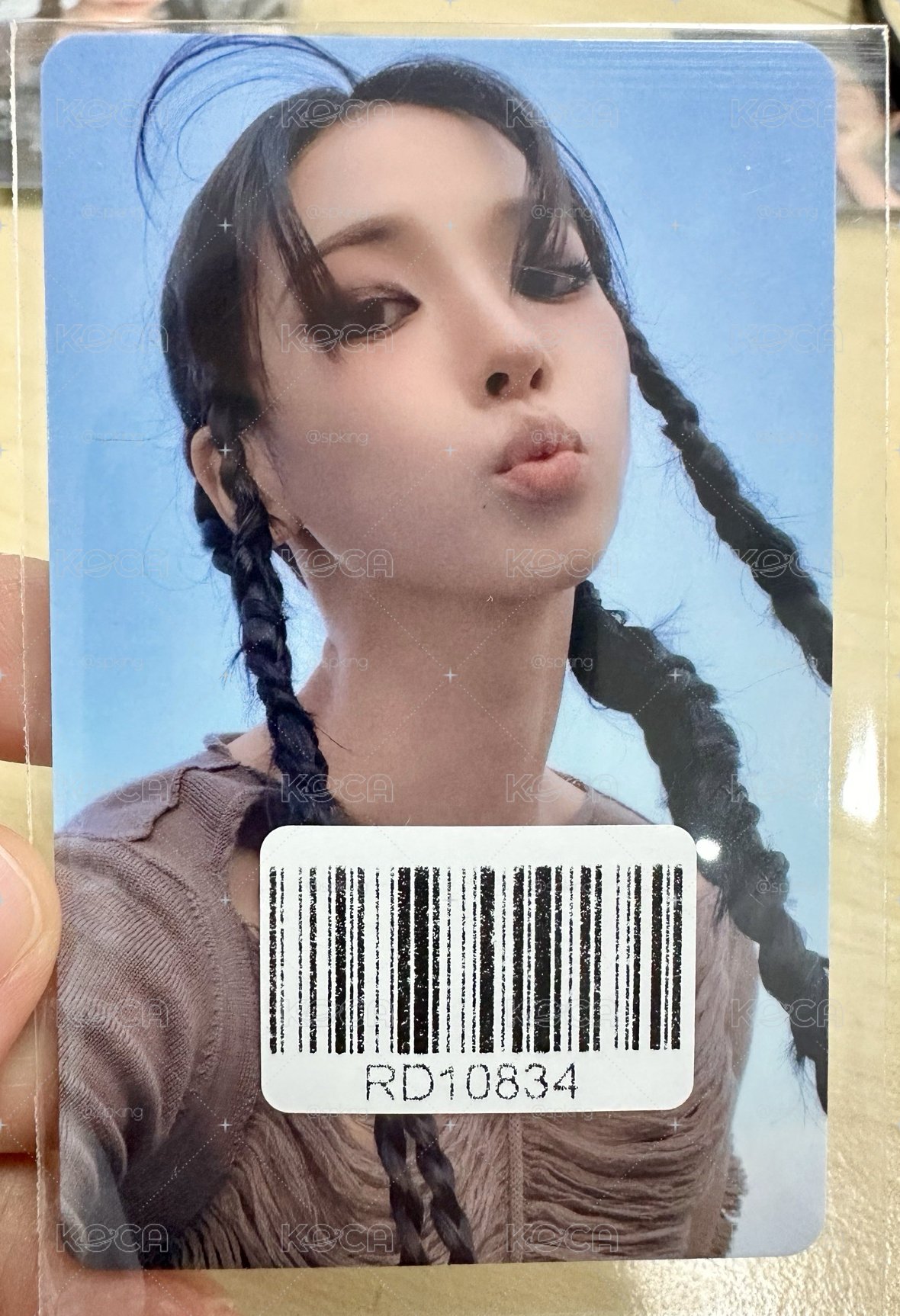 (中背）智敏和櫻花一起來了