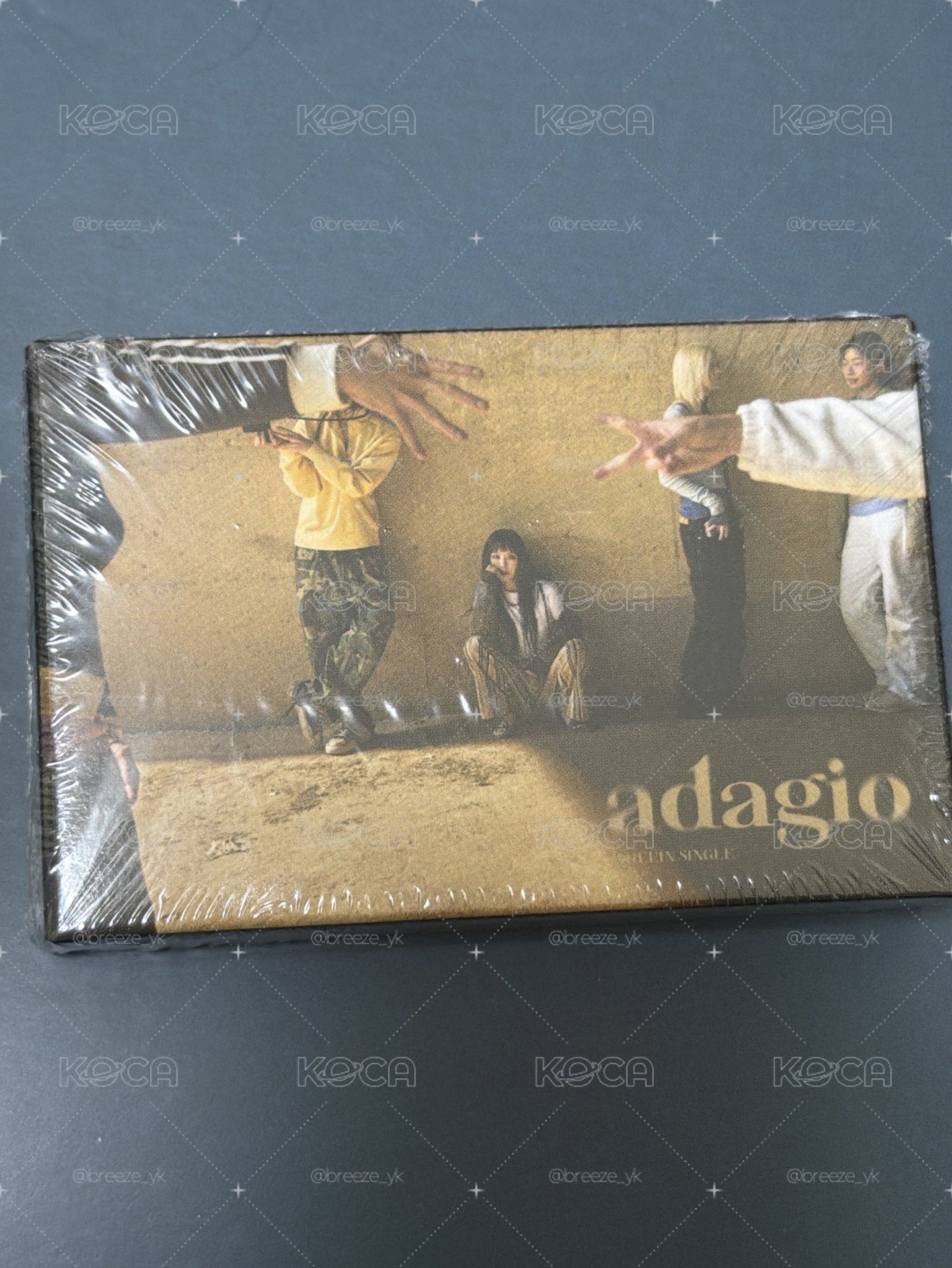 WHEE IN <adagio> sw特典卡 人生四格照 專輯