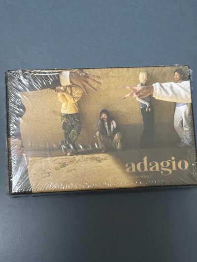 WHEE IN <adagio> sw特典卡 人生四格照 專輯