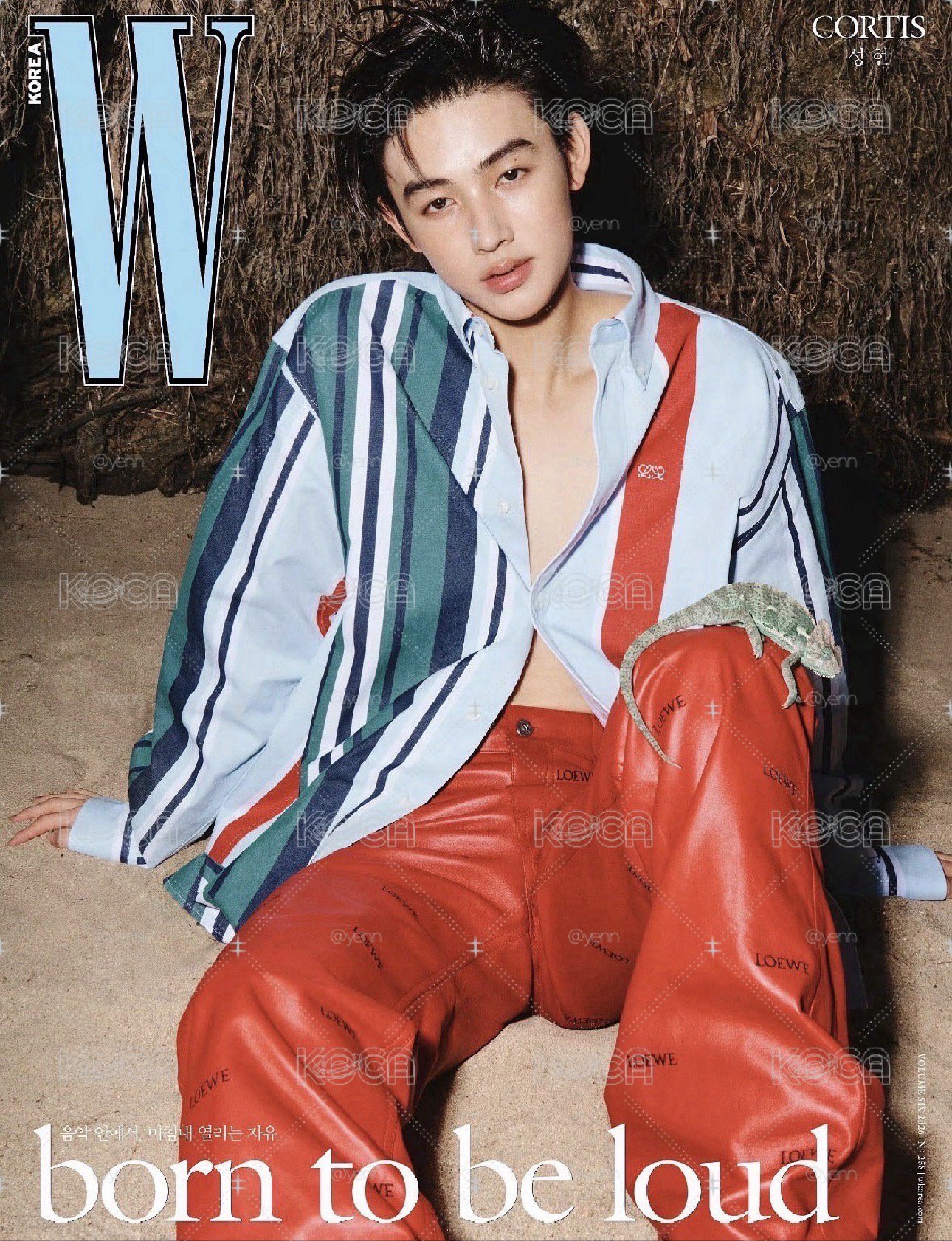 w korea嚴成玹封面