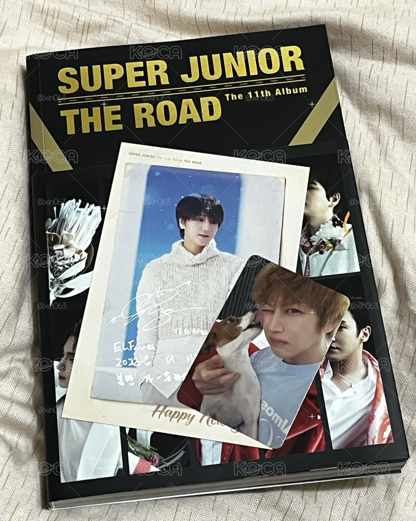 THE ROAD 正規十一全專