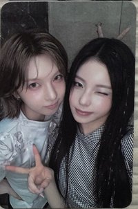 裴圭