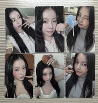 圭（6張）