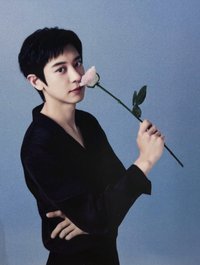everbab 撕拉片 