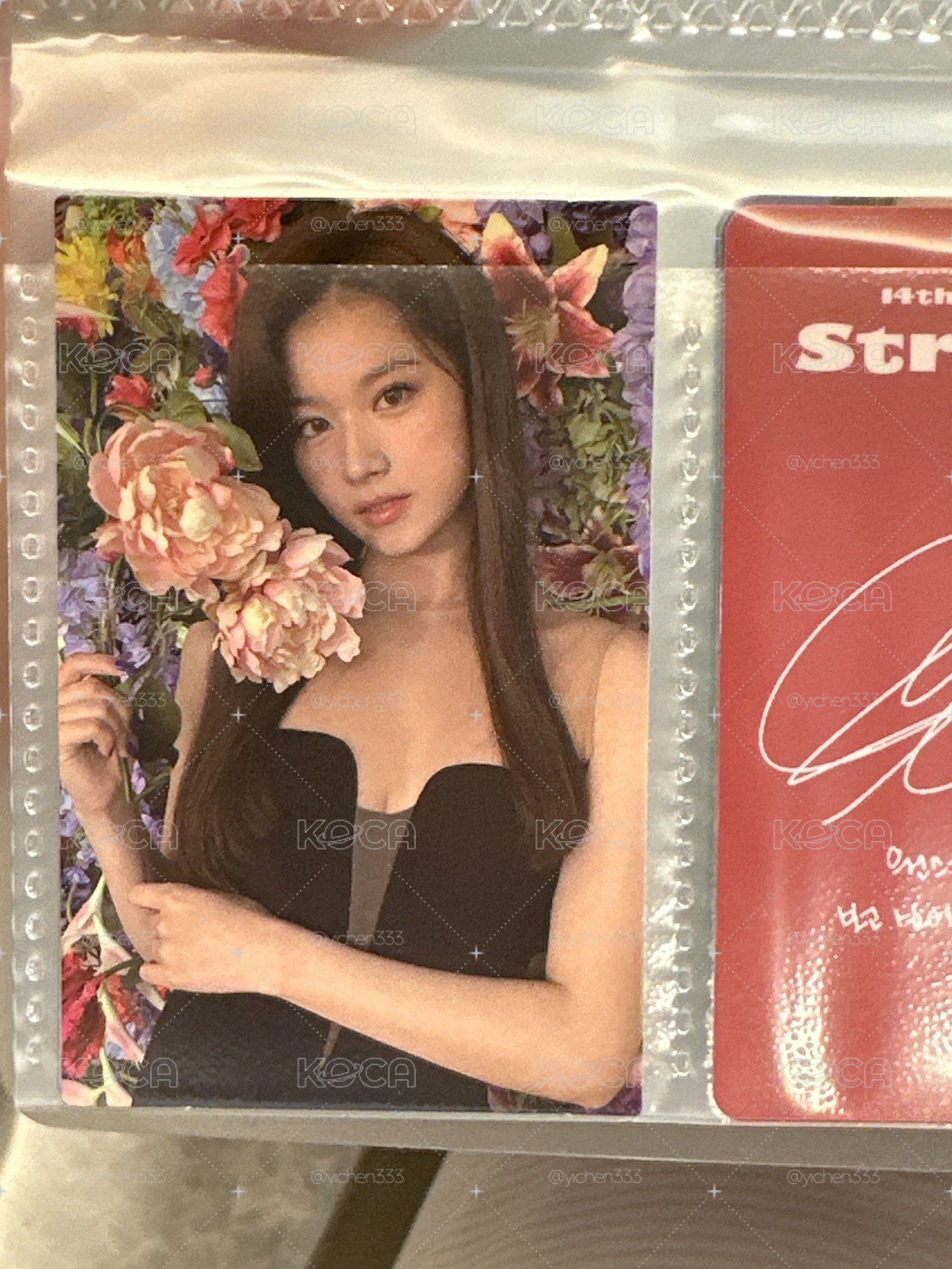 Sana icsm 專卡