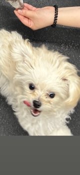 冬ki