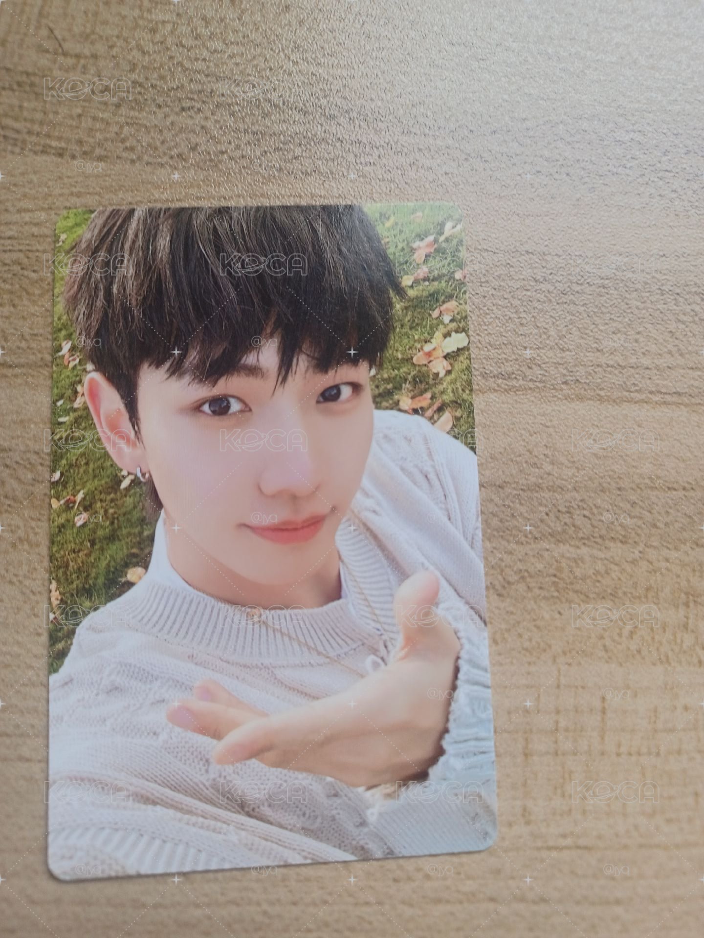 Jaehyun 專輯卡