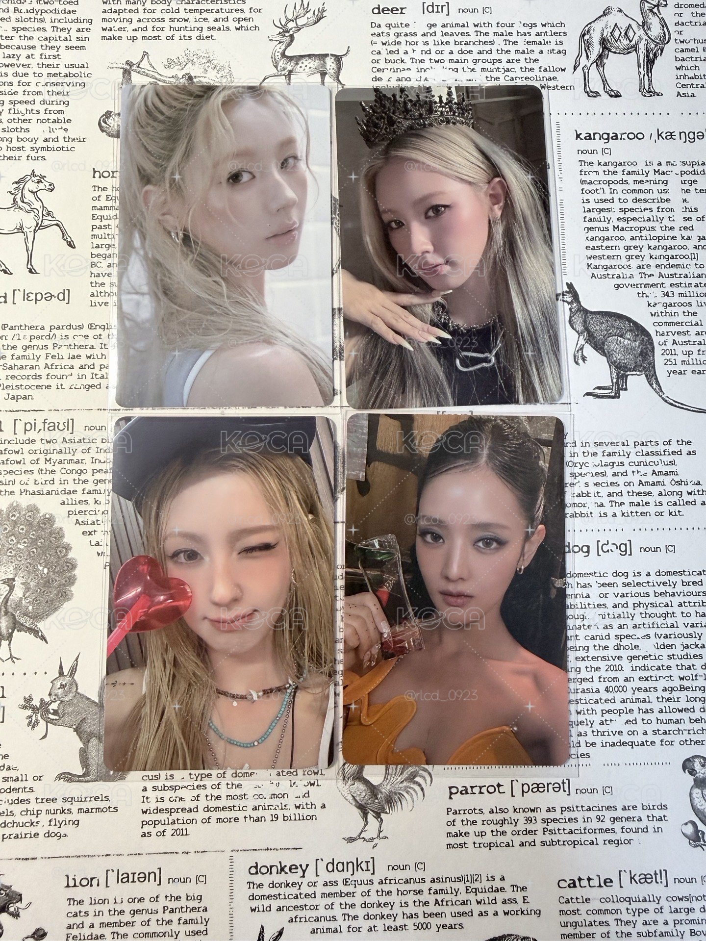 麵電子專一件畢業+妮香水專卡