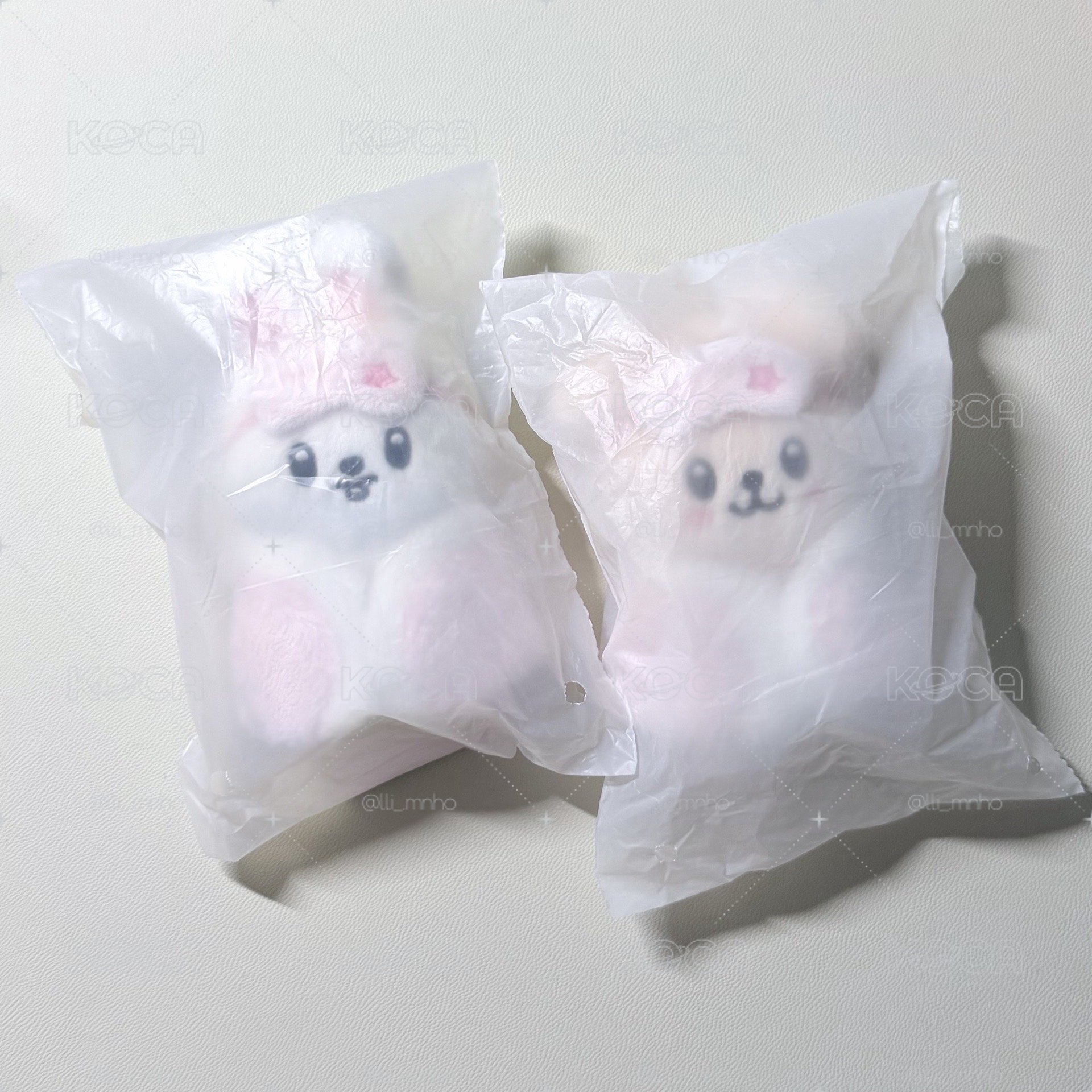 6th FM 李畢帕皮棉被娃