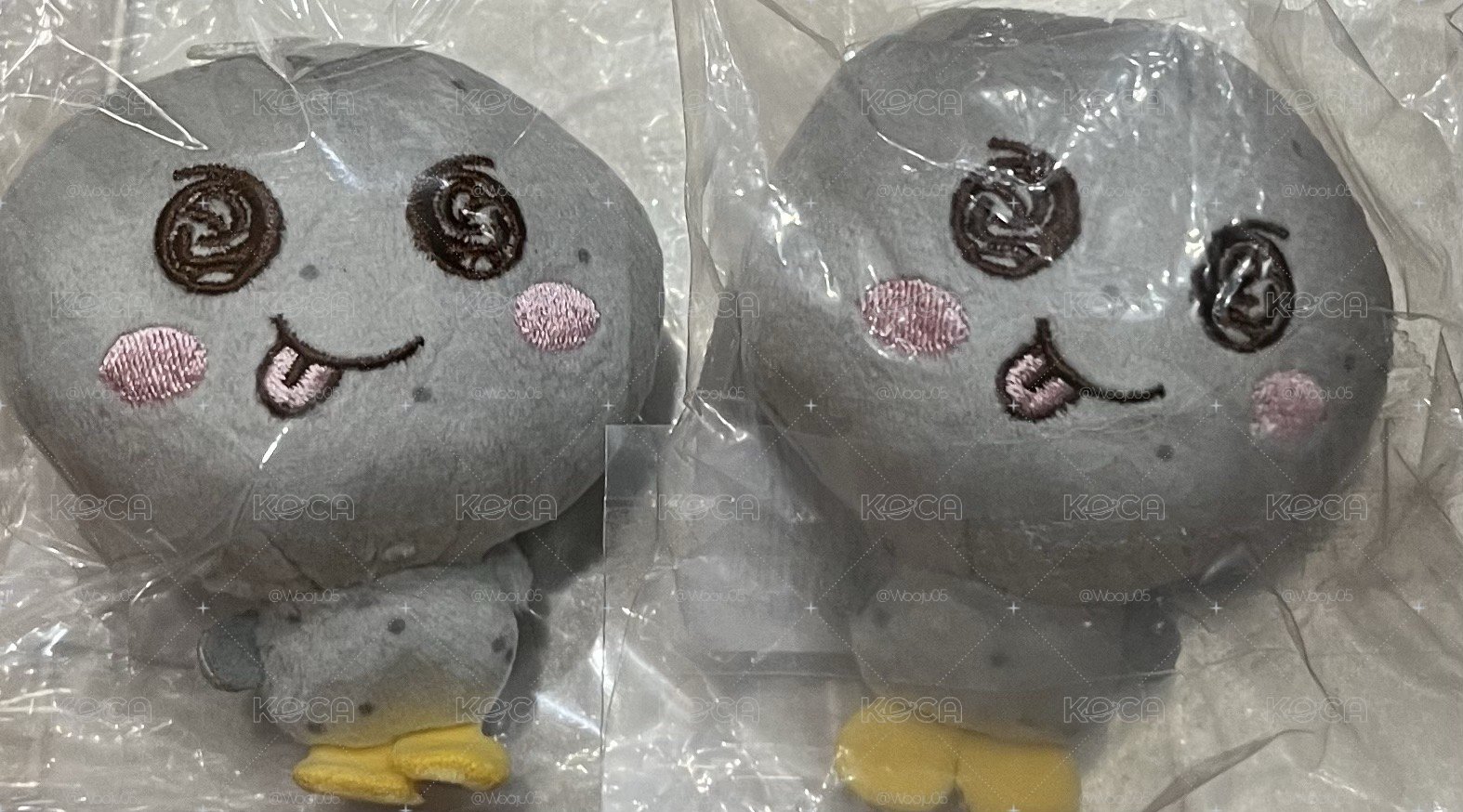 小芒龍石 