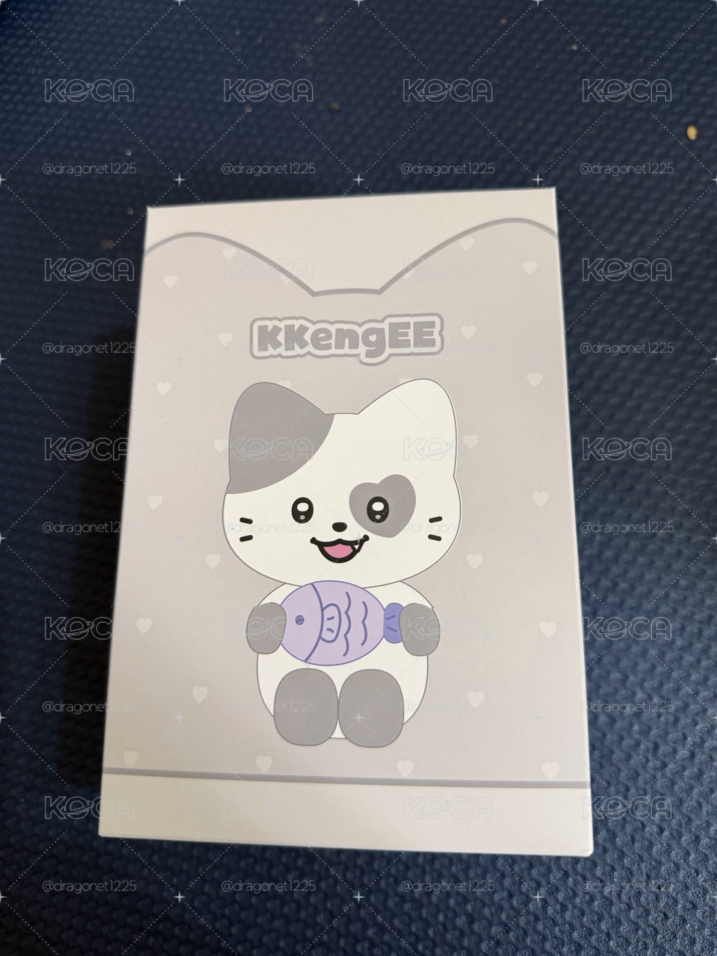 FM周邊現貨～演唱會前可拿到