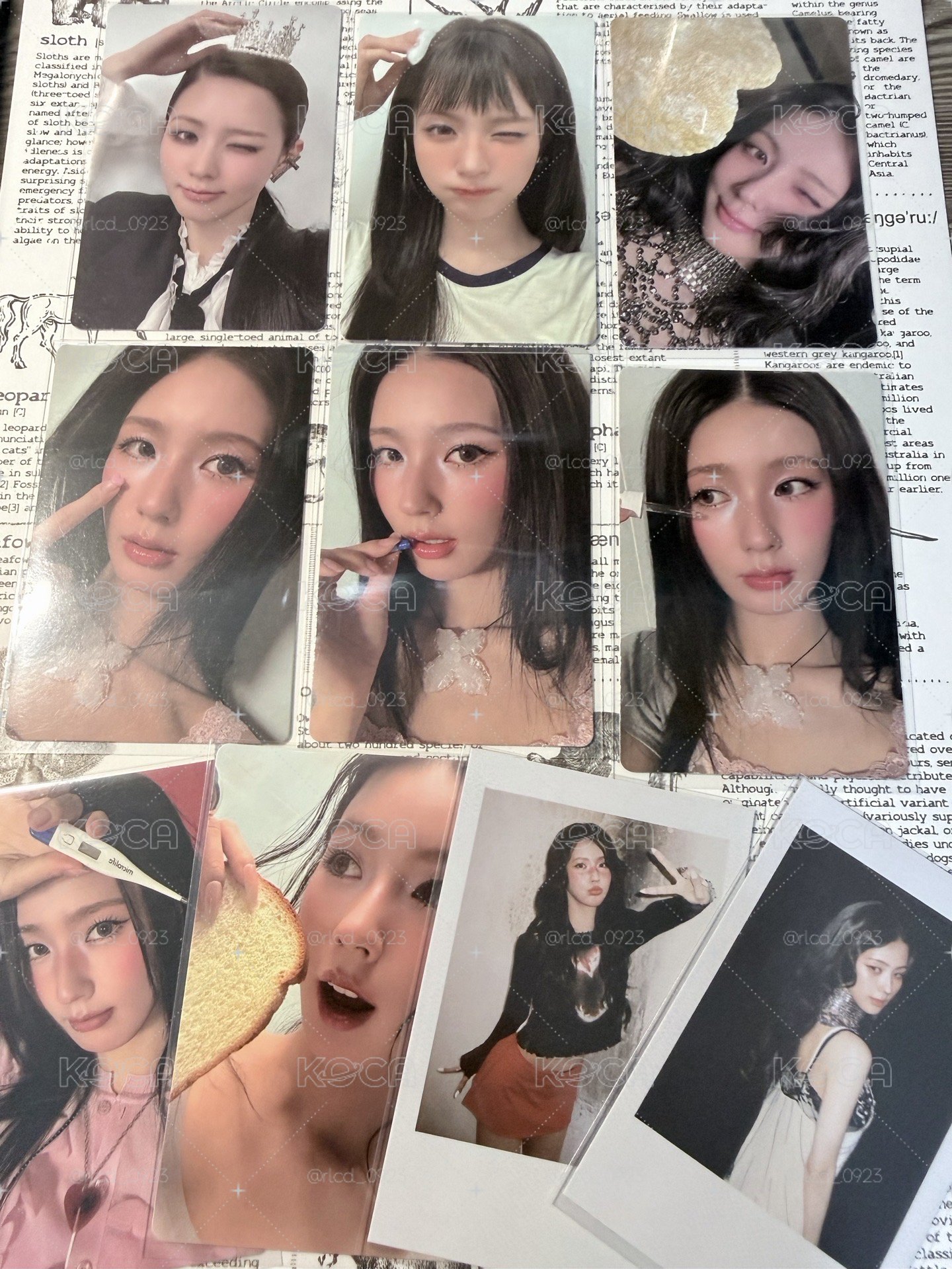 麵專卡