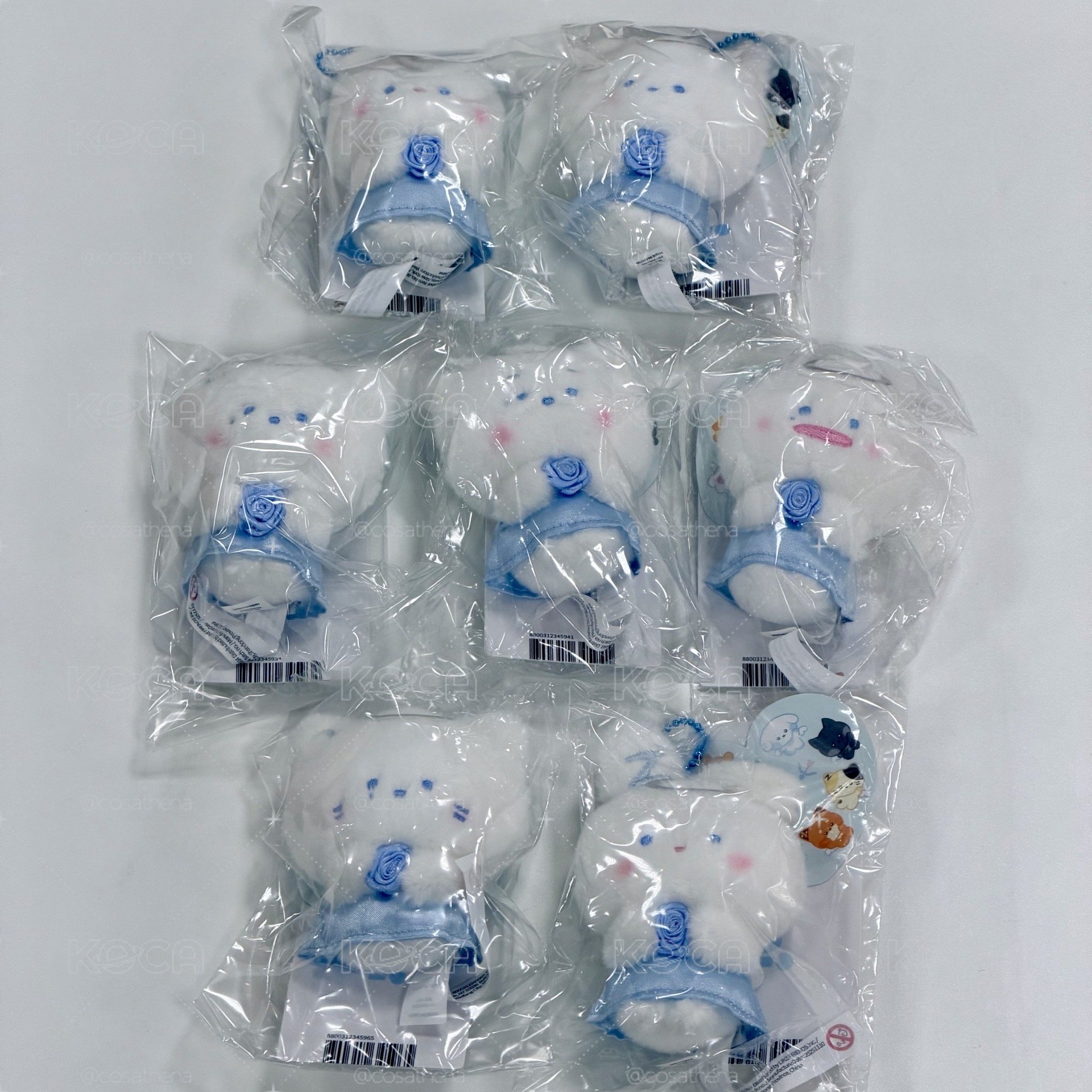 💙降價售 天使吊飾娃 ZEROBASEONE