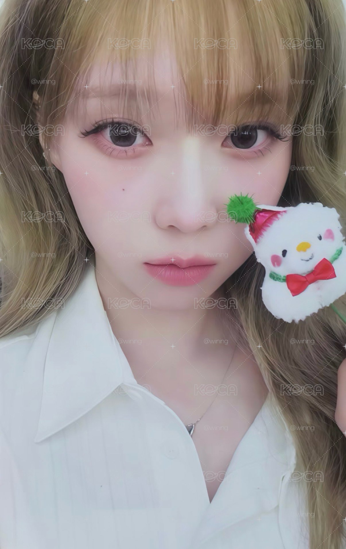 kms聖誕冬