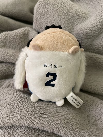 排球少年 影山飛雄 JS趴娃 國王影山