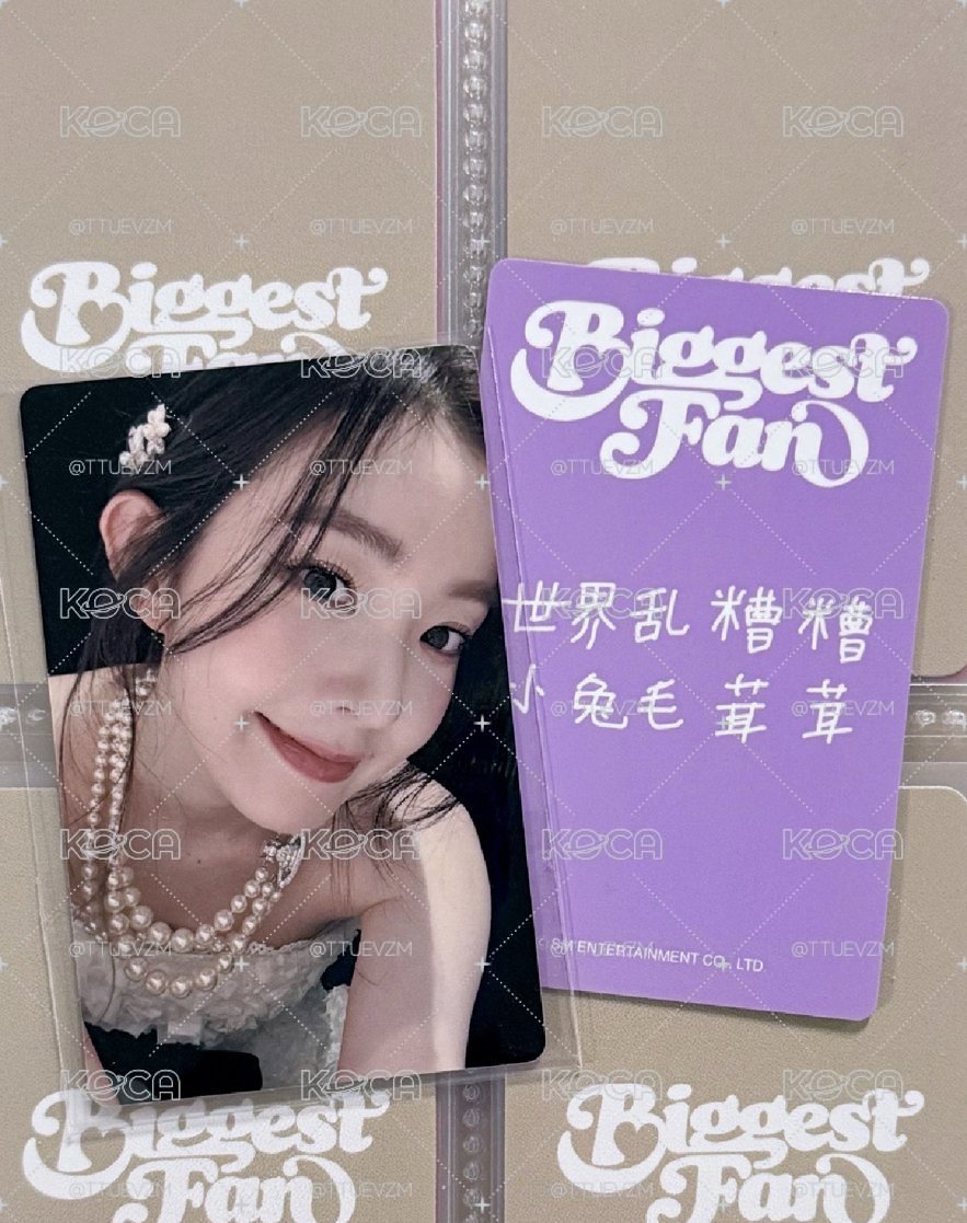 IRENE 深圳合影小芒簽售卡 世界亂糟糟 小兔毛茸茸