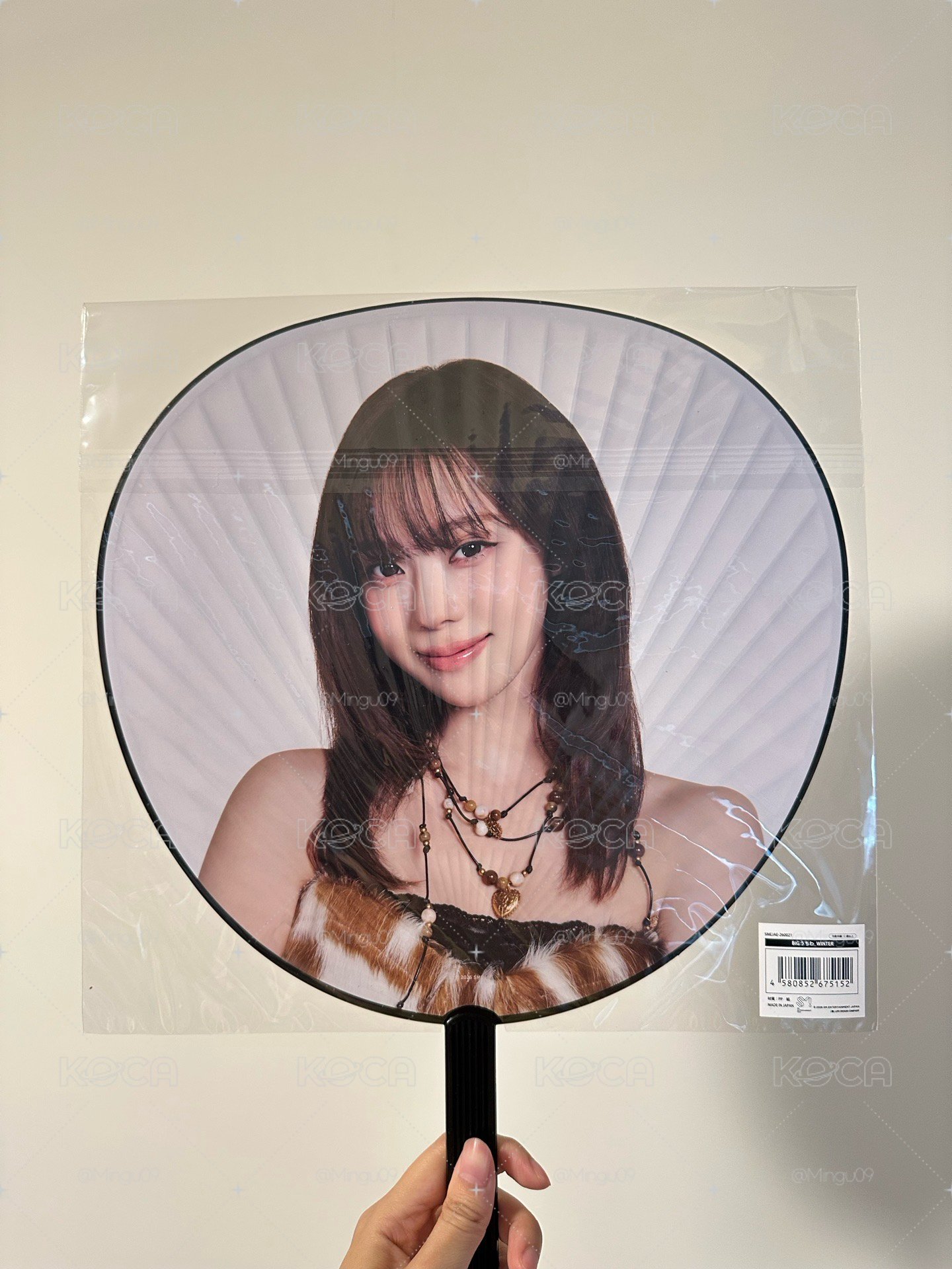 Aespa日本演唱會大扇
