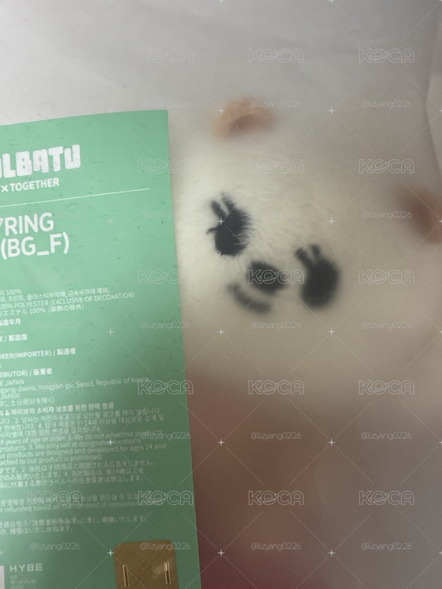 TXT坐娃 生日娃、卡