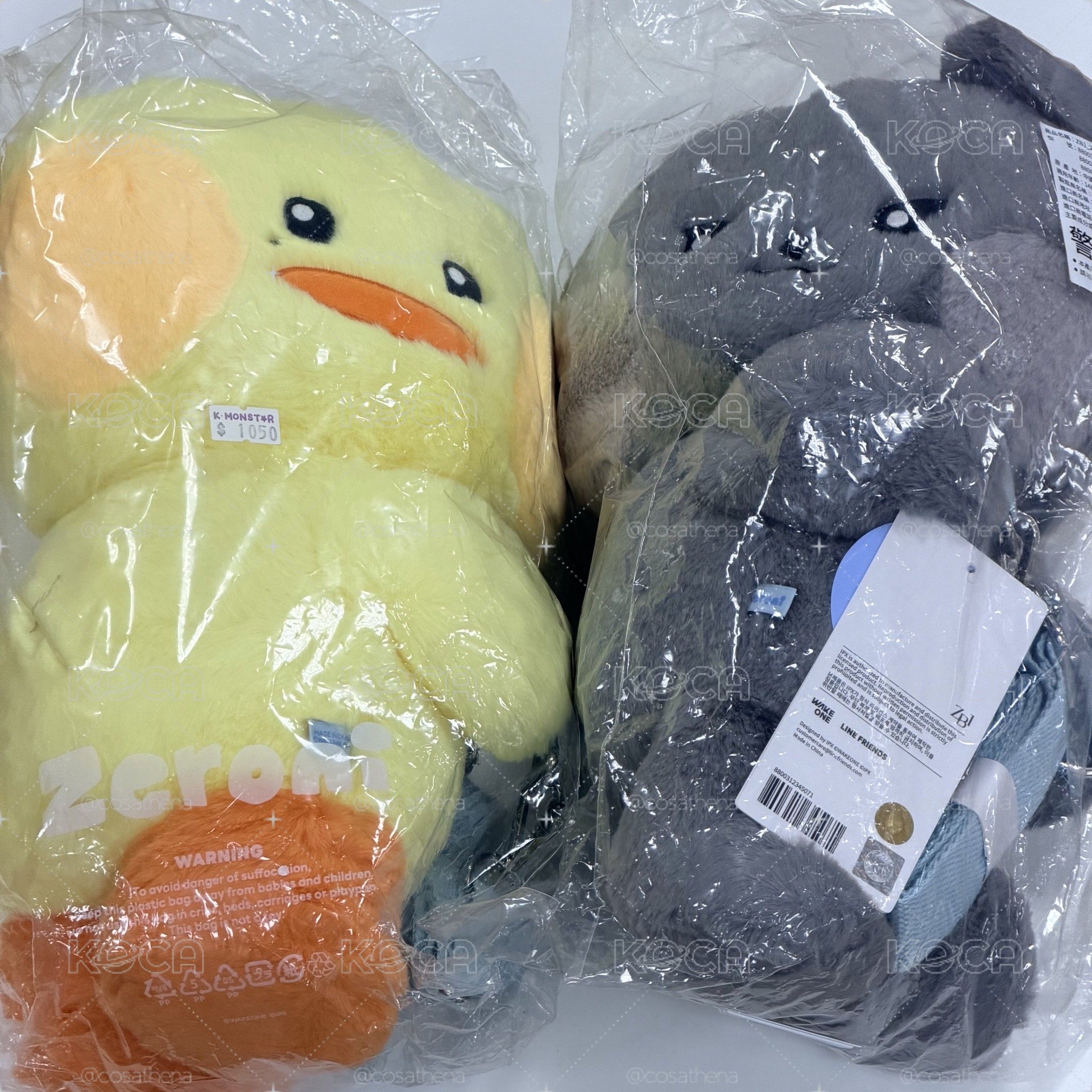 💙背包娃 ZEROBASEONE ZB1 zeroni FLUFFY Wonderland