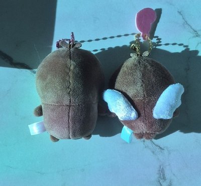 基礎小甲蟲+魔法小甲蟲一起售
