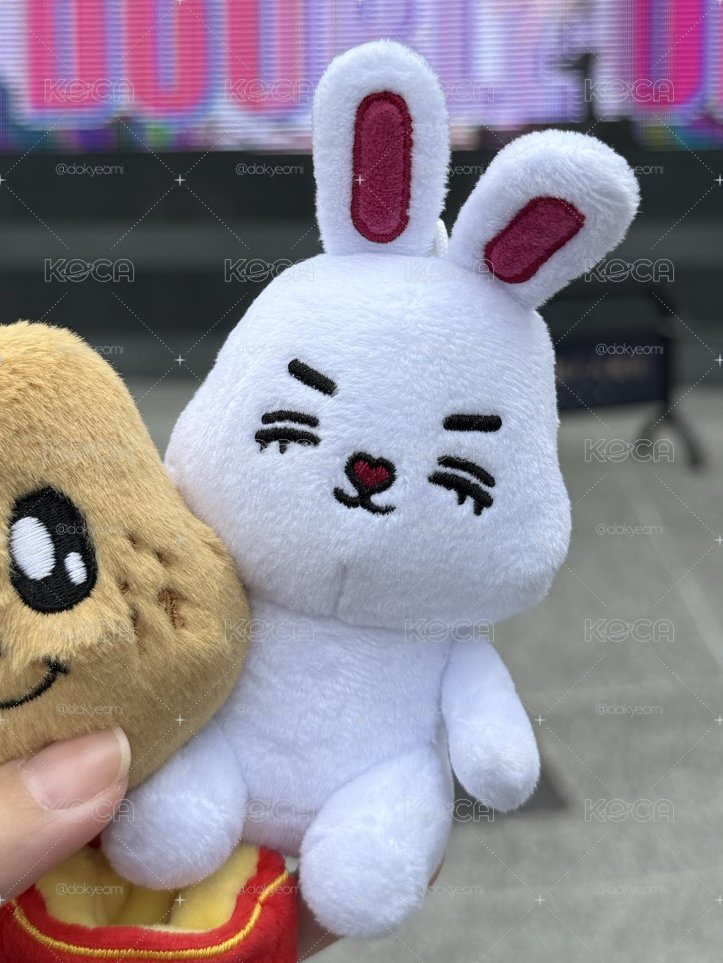 Miniteen 喆坐娃小盤