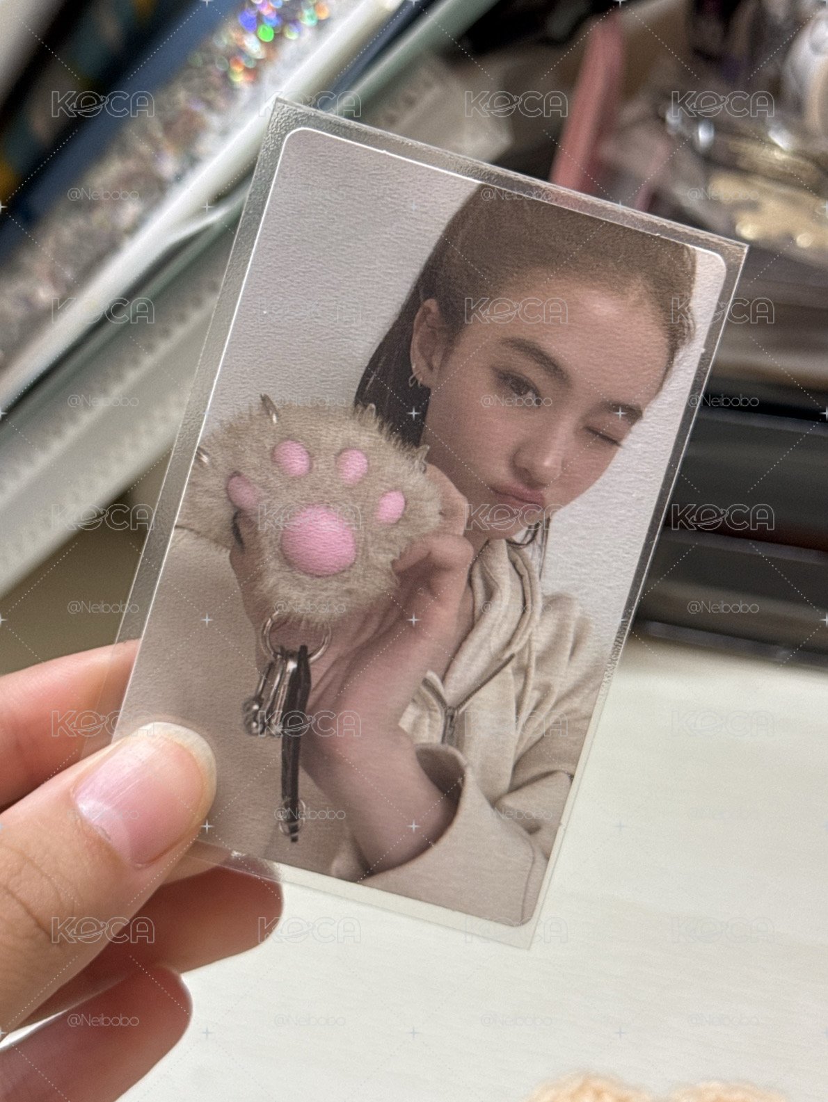 ella貓爪專卡