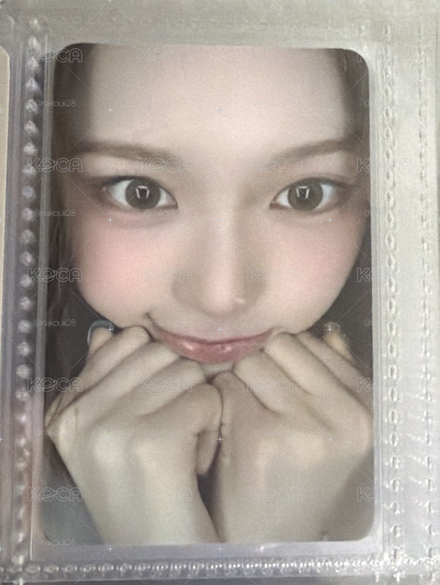 el菲