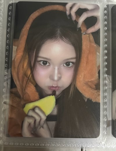 猴子菲