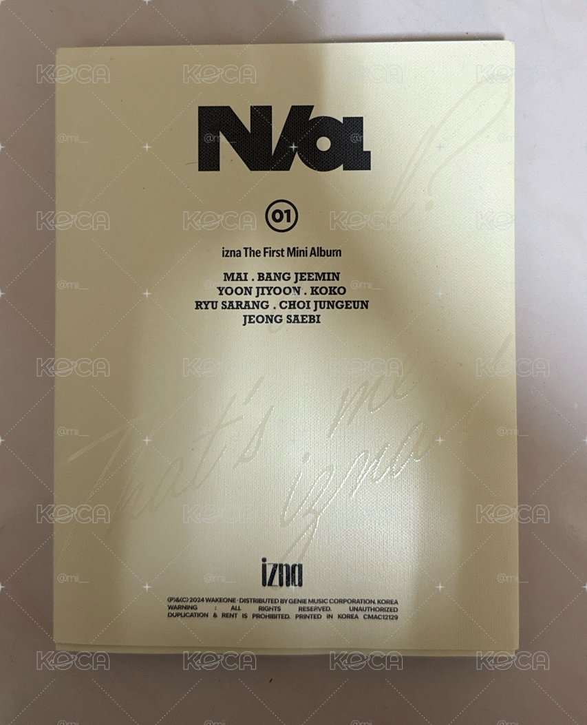 izna N/a 空專