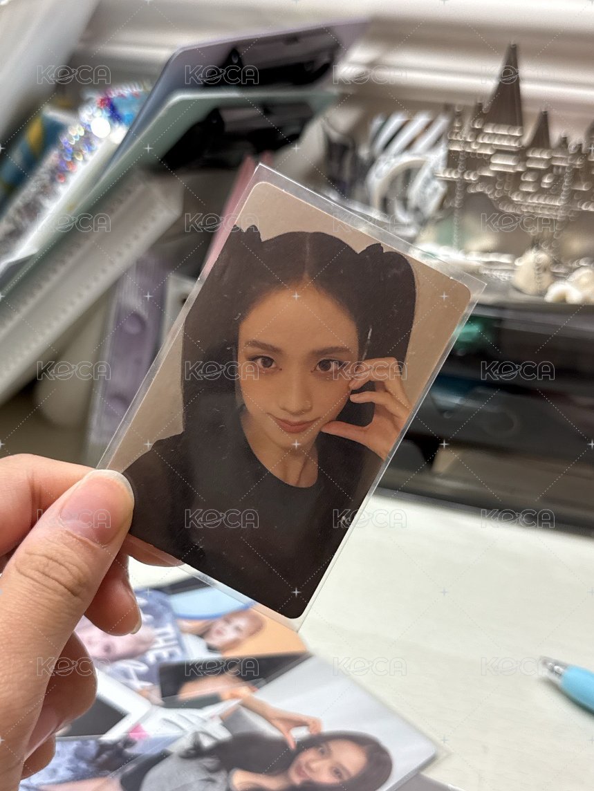 雙馬尾秀