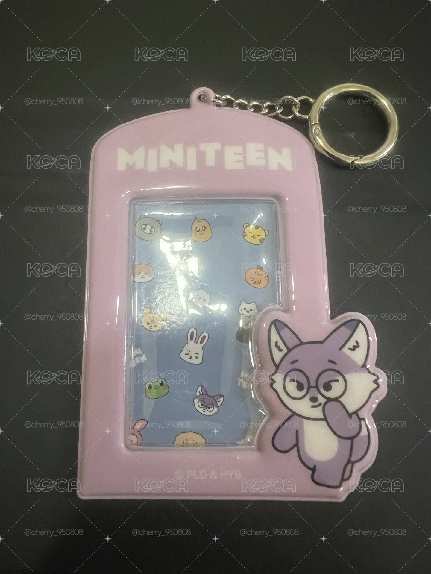 SEVENTEEN 全圓佑 miniteen 卡套