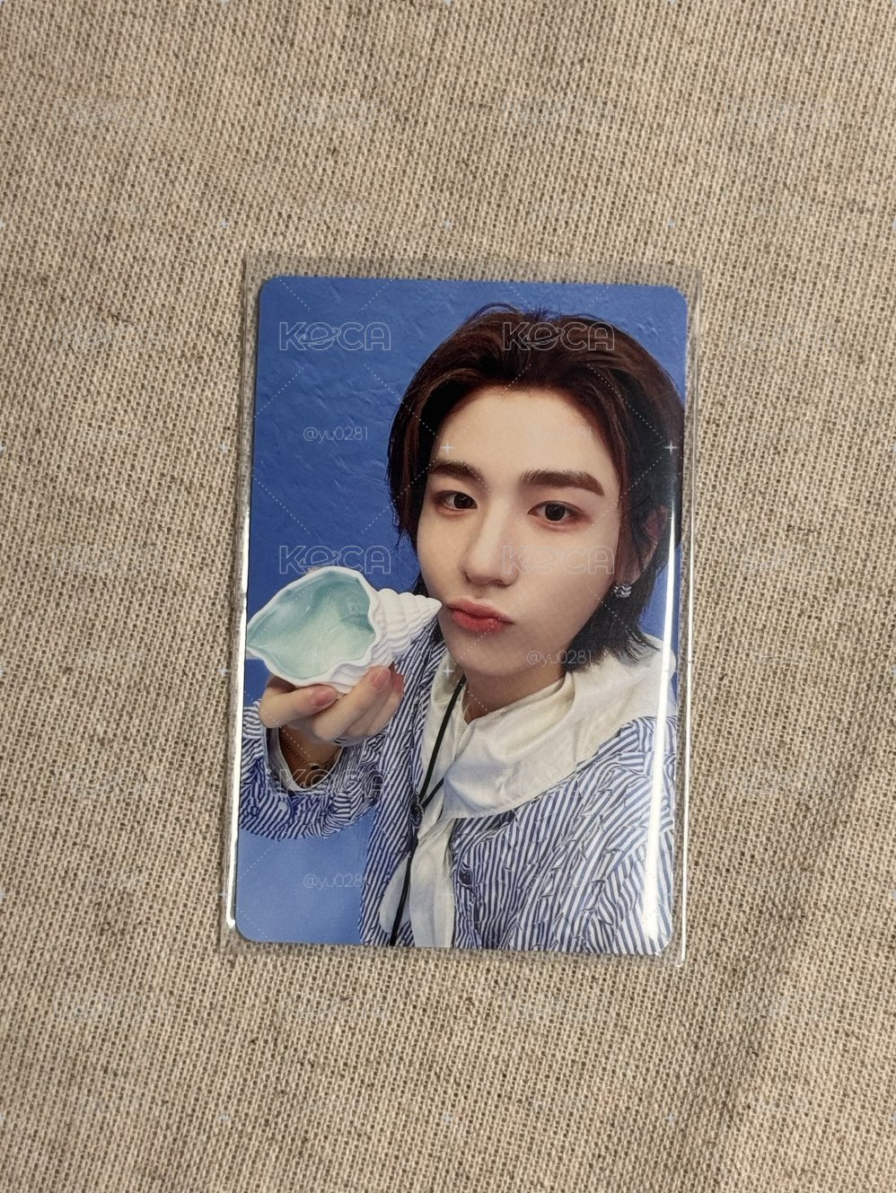 💛海螺李涵