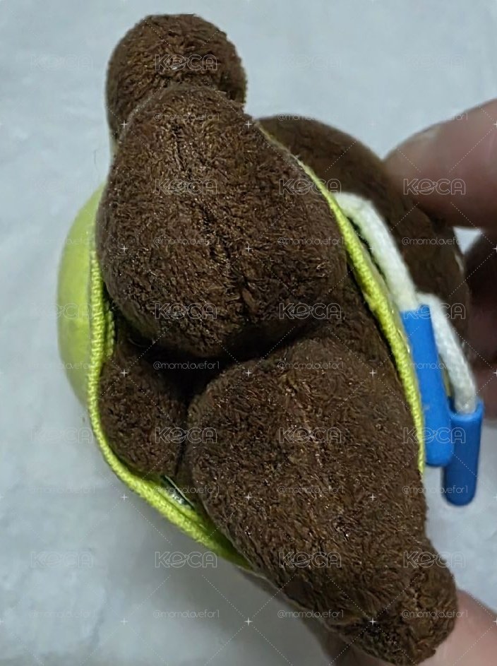 燕熊