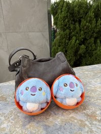 koya