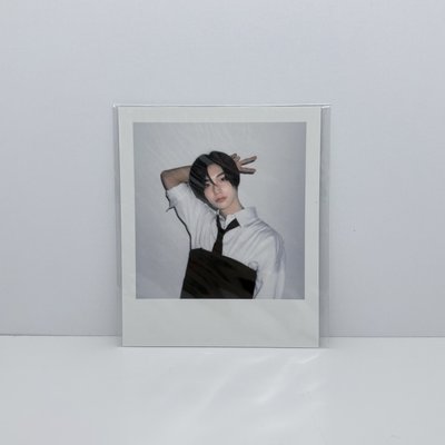彬貓盤
