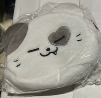 志(粒出完才出) 