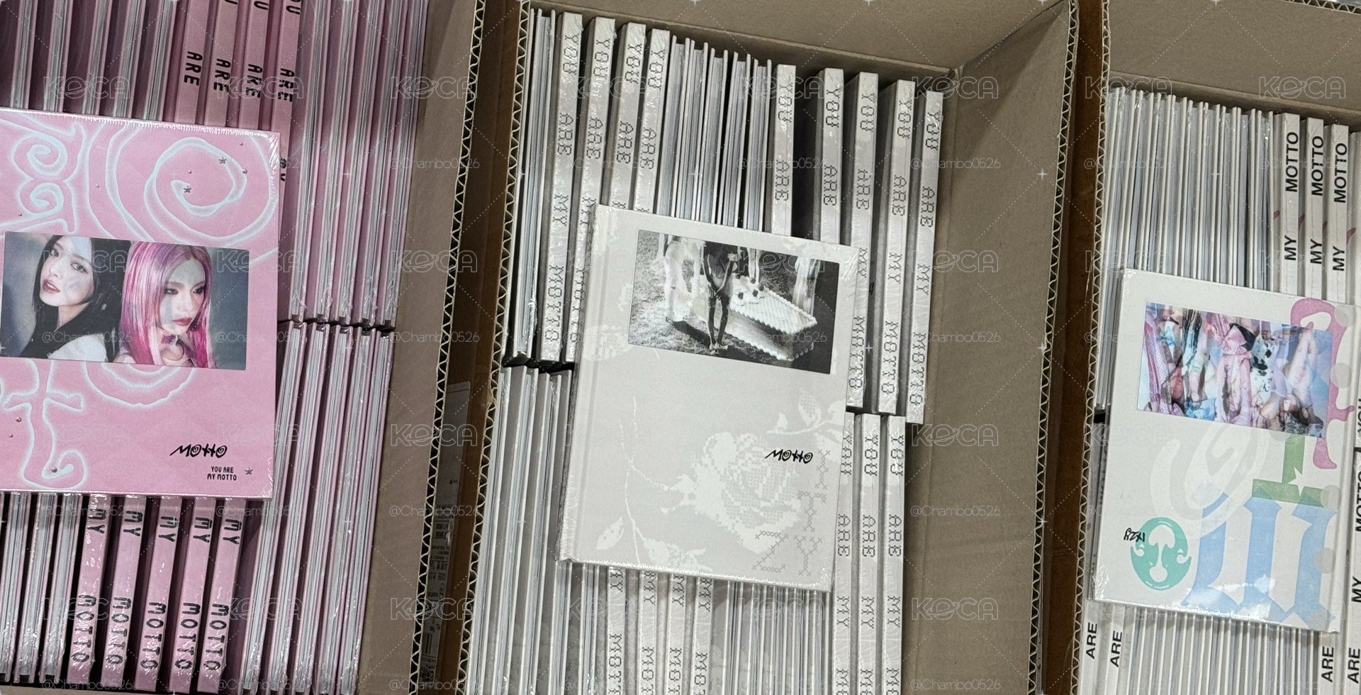 Motto Photobook 三版一套