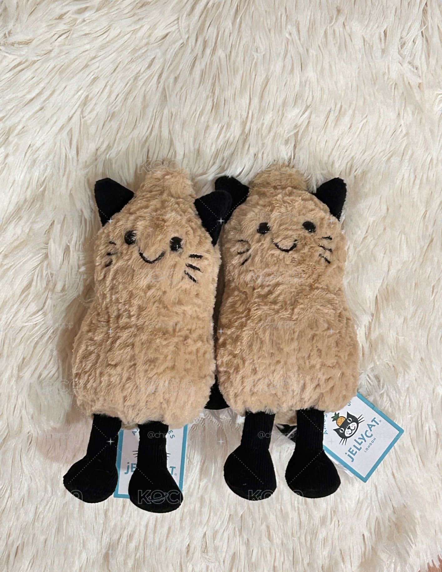 Jellycat 花生貓咪