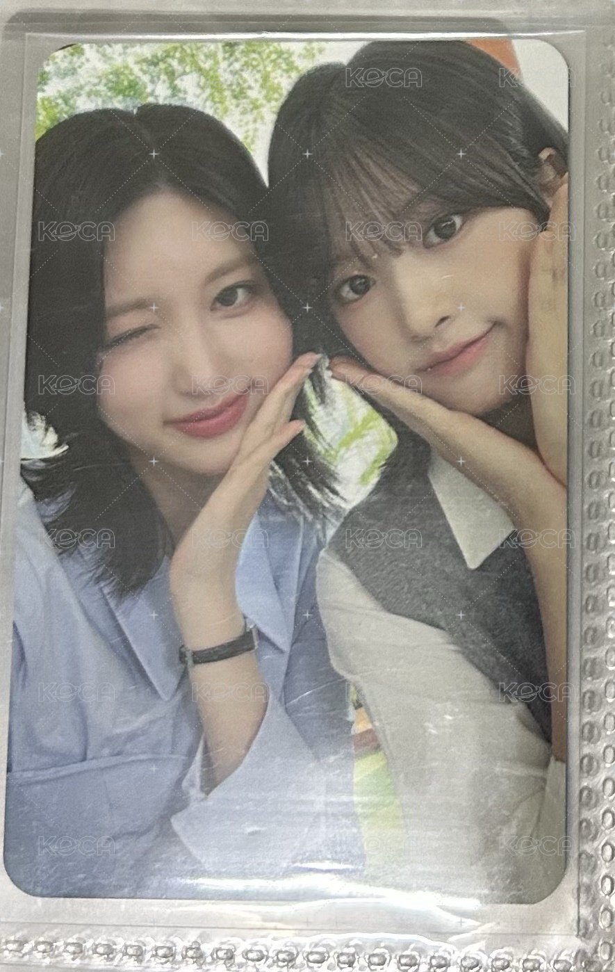 安秋1