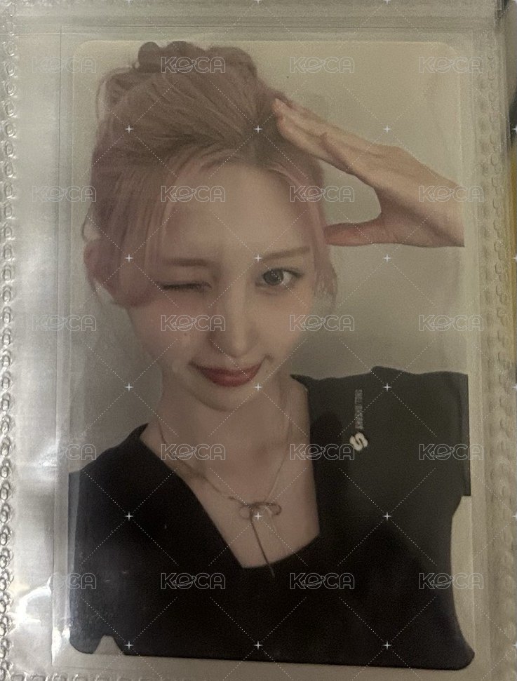 狗耳秋