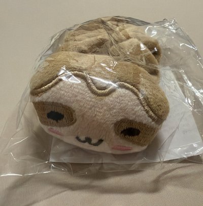 現貨🌟日巡露露手燈圈/賢娃