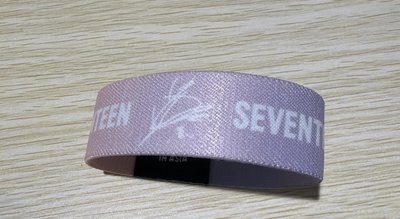 SEVENTEEN WORLD TOUR [BE THE SUN》榮