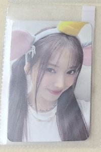 仲夏夜友  am動物髮箍