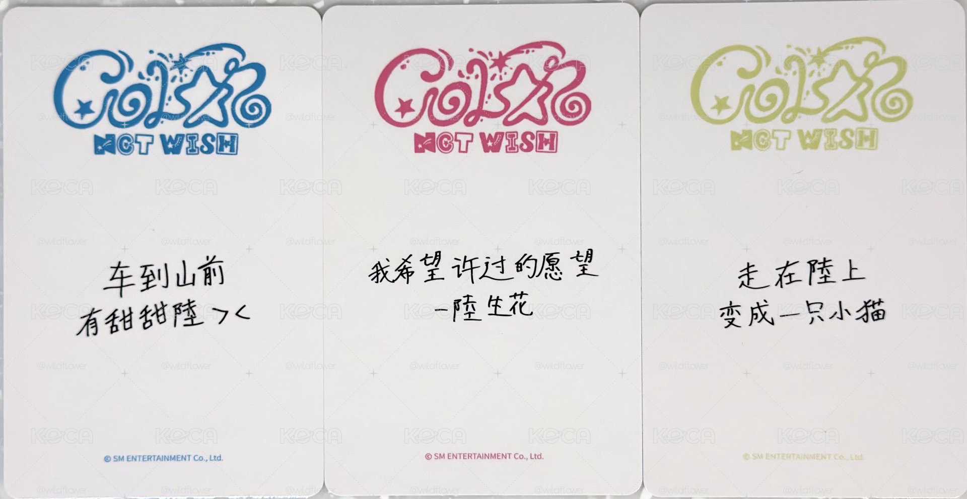 Color 一直娛簽售卡Riku 中文卡背